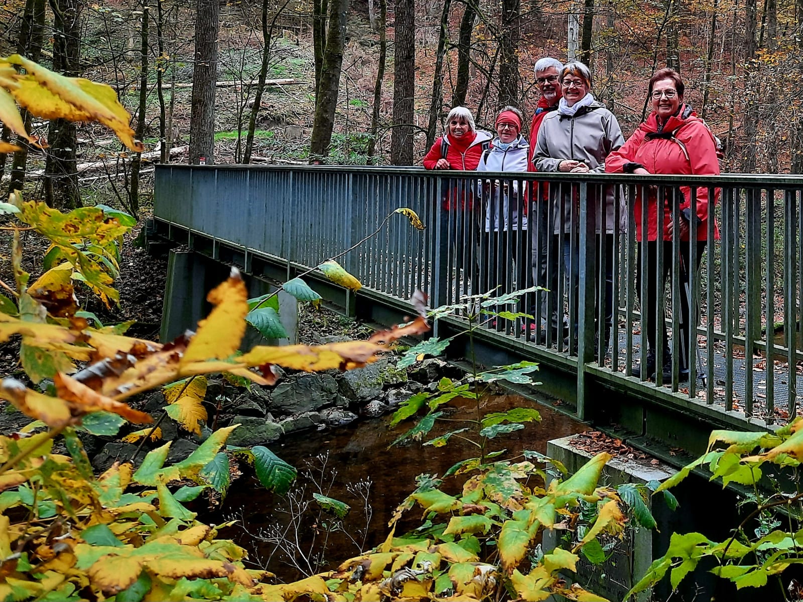 Herbstwanderung durch bunte Wälder