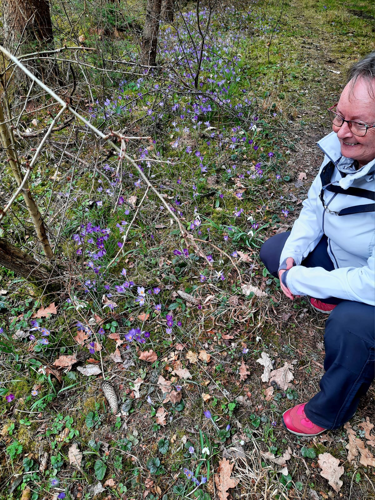 Wanderung in den Frühling