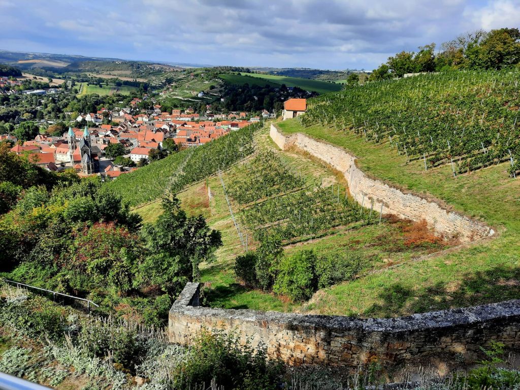 Herbstausflug nach Freyburg